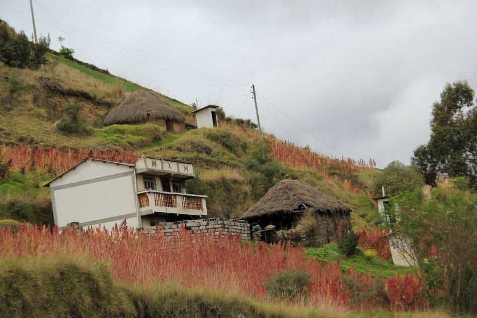 chimborazo2