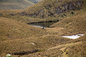 cajas