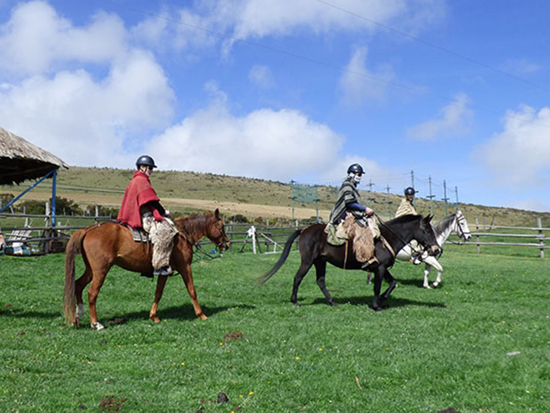 Cabalgata | Parque Nacional Cotopaxi