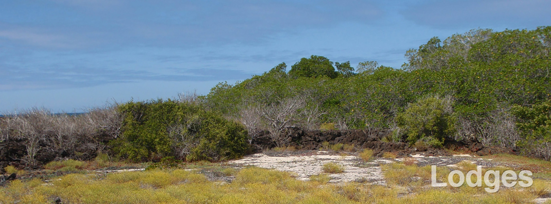 galapagos_slider5.jpg